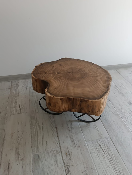 Image 1 of Acacia Ember – L’anima della natura preservata