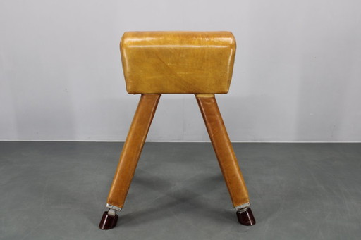 Cavallo con maniglie da ginnastica cecoslovacco in pelle e legno, anni '50, altezza regolabile