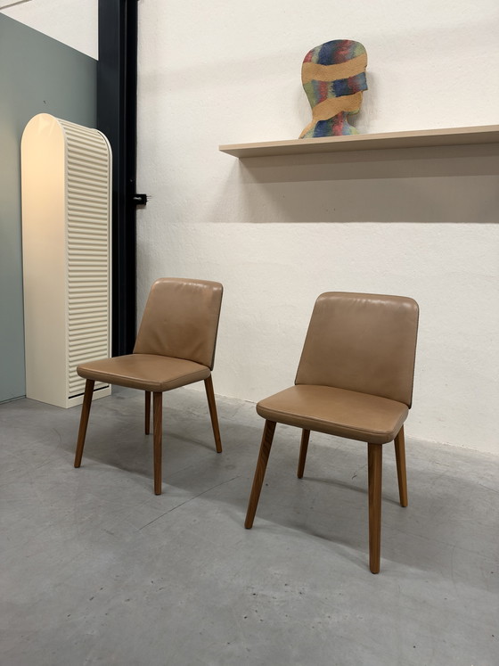 2 Montis Back me Up Chaises de salle à manger cuir marron tissu vert, Autre, Multicolore (photo 5 sur 9)