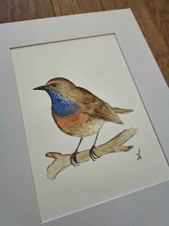 Image 1 of Watercolor painting Bluethroat Original | Framed
