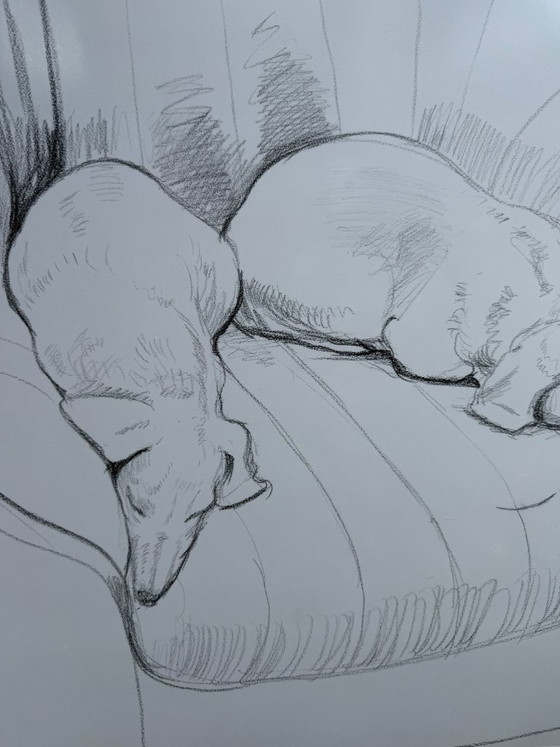 Image 1 of David Hockney (1937-2026), Black and White Dogs Exhibition Poster, 1994, copyright David Hockney, Printed in the UK