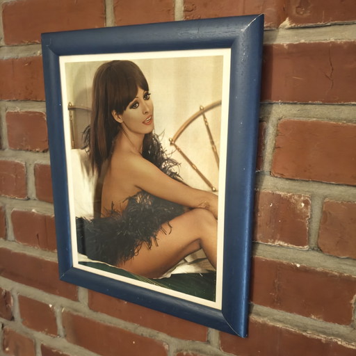 Lámina vintage estilo pin-up "Katia Kelly" en marco de madera azul — 1968 – decoratieve objecten, Paper, Wood