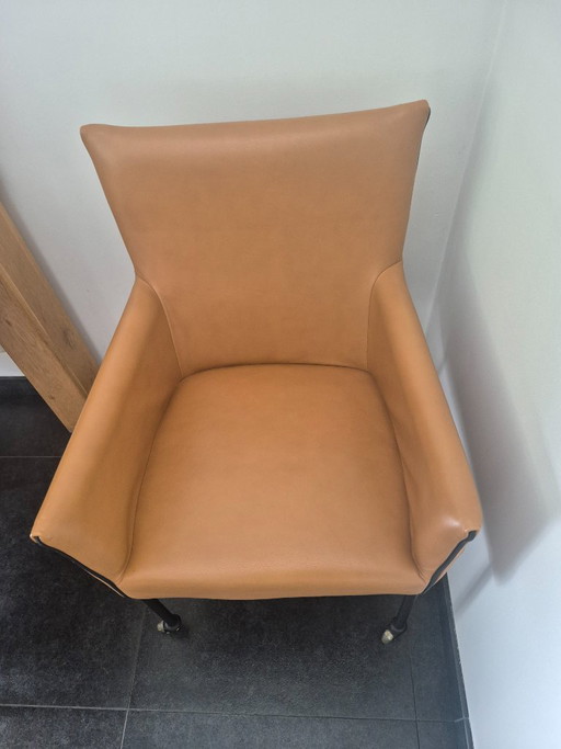 Montis Chaplin Dining chairs