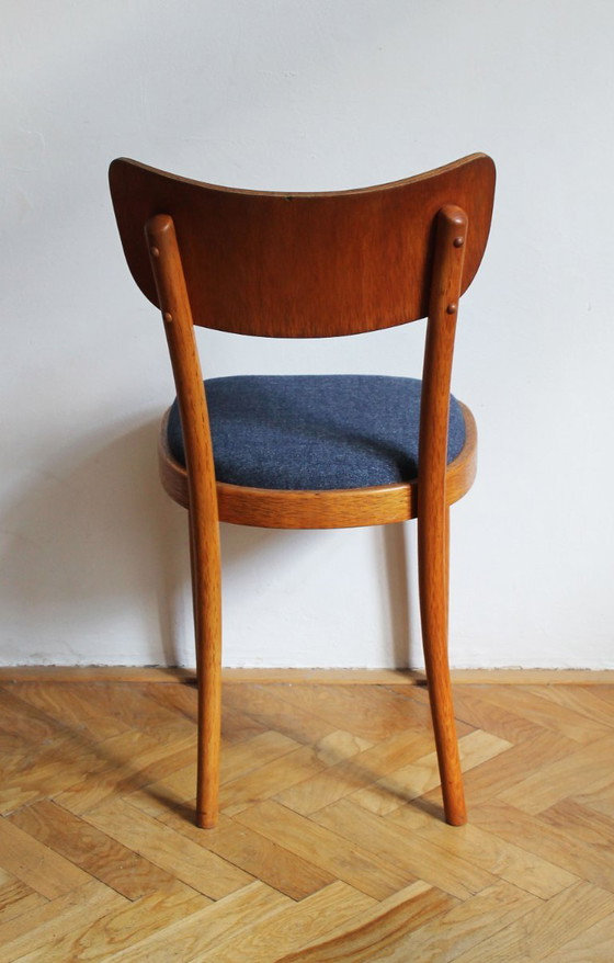 Sedia da pranzo vintage ceca di metà secolo, disegnata da UP Rousínov, anni '60. – UP Rousinov (photo 11 of 16)