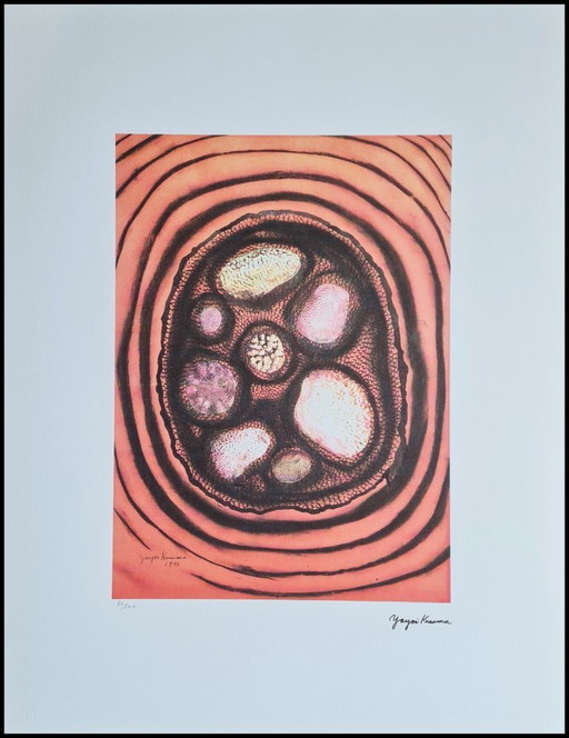 D'après Yayoi Kusama, Sans titre, Lithographie, années 1990
