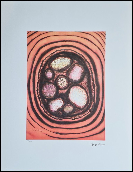 Image 1 of D'après Yayoi Kusama, Sans titre, Lithographie, années 1990