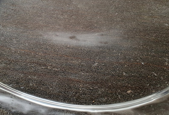 Image 1 of Alessi Foix Tablett Teller Schale