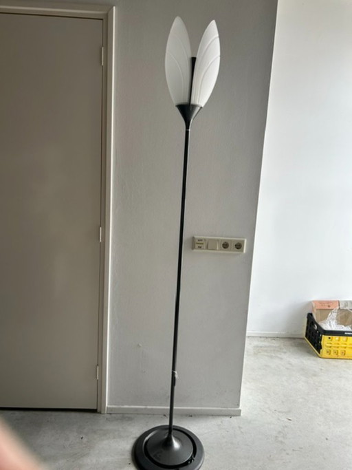 Arteluce Corolle – vloerlampen, Glass, Metal