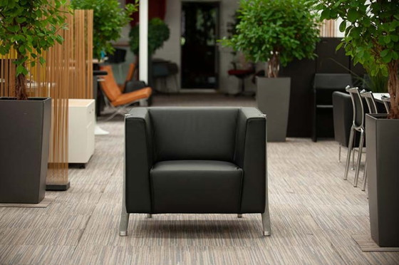 Image 1 of Poltrona Walter Knoll