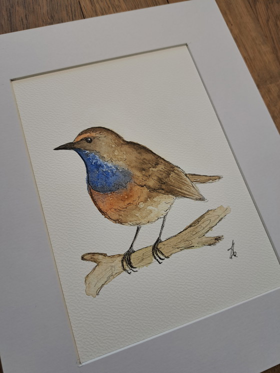 Image 1 of Watercolor painting Bluethroat Original | Framed