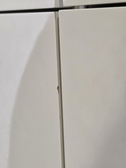 Pastoe Storage Cabinet Vision Next White (photo 3 of 3)