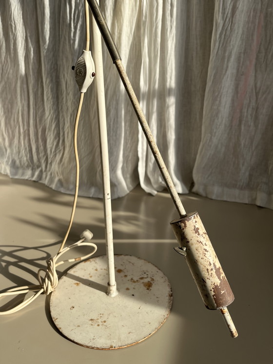 Image 1 of Stehleuchte & Pendelleuchte Artifort 1956