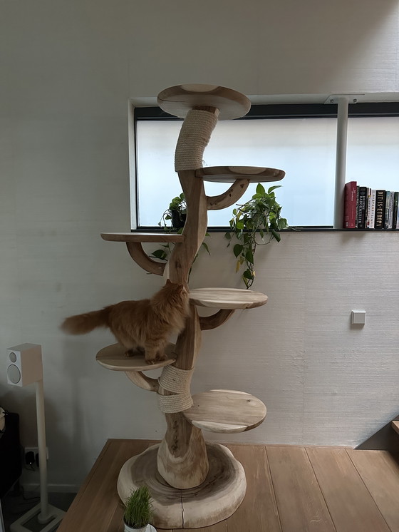 Image 1 of Árbol para gatos de madera, 2 metros de altura.