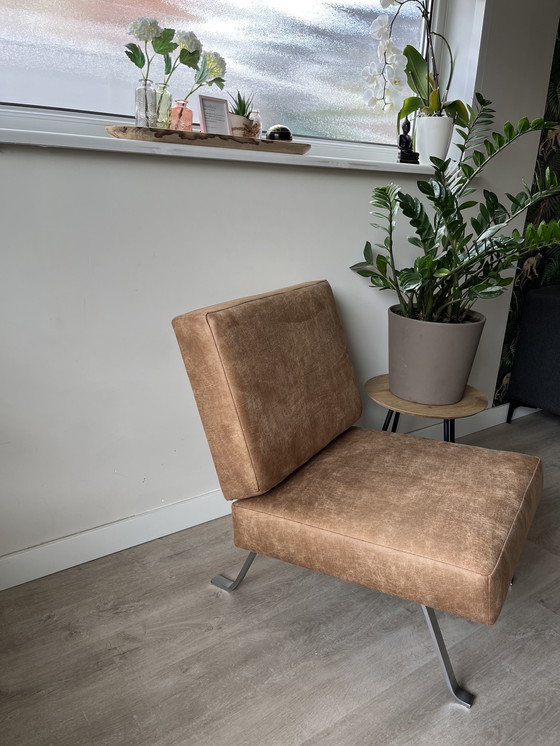 Image 1 of sedia di design