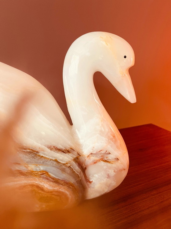Image 1 of XL Onyx-Schwan