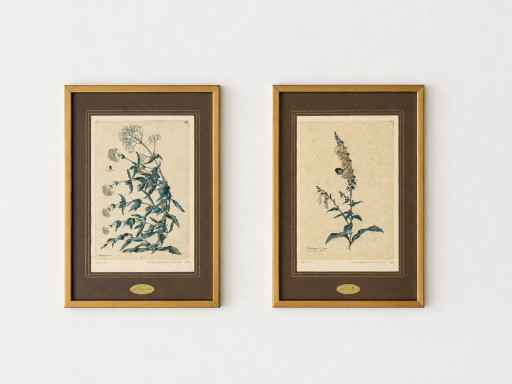 2 Vintage-Kunstdrucke Jacopo Ligozzi – Uffizien Florenz – Gerahmt