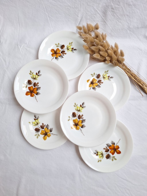 Platos hondos vintage Arcopal