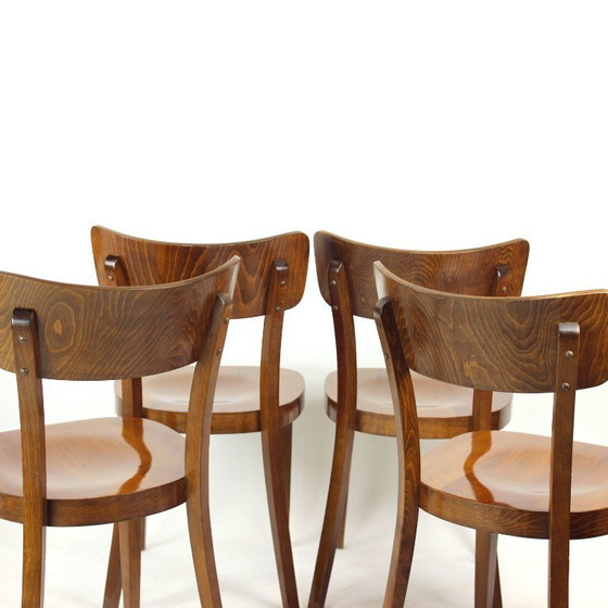 Image 1 of Set Of 4 Classical Tatra Dining Chairs In Walnut, Czechoslovakia 1950s