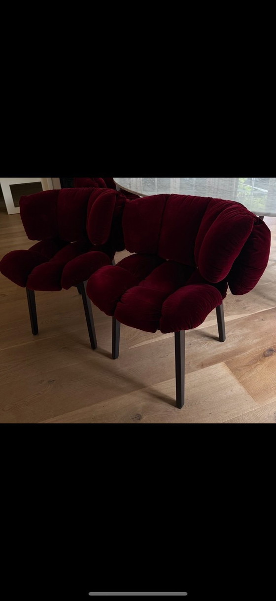 Image 1 of EDRA chairs 6x velvet red !