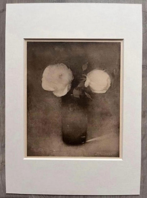 Image 1 of Jan Mankes 1889-1920 / Eliogravura originale Peonie in un vaso 1923
