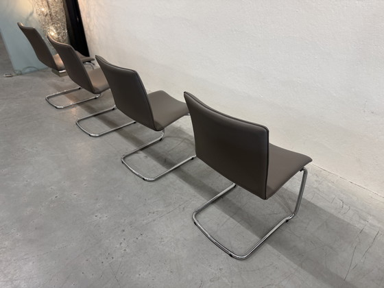 Image 1 of 4 Leolux Freyr dining chair Wapiti Triel