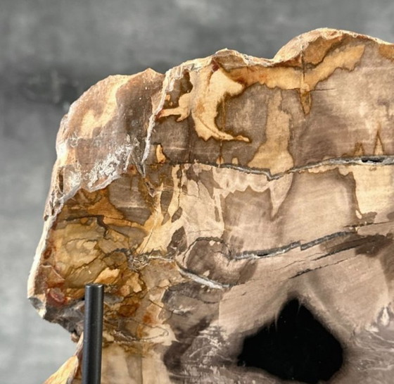 Image 1 of Bois fossilisé de Sooka, fabrication sur mesure standard (neuf)
