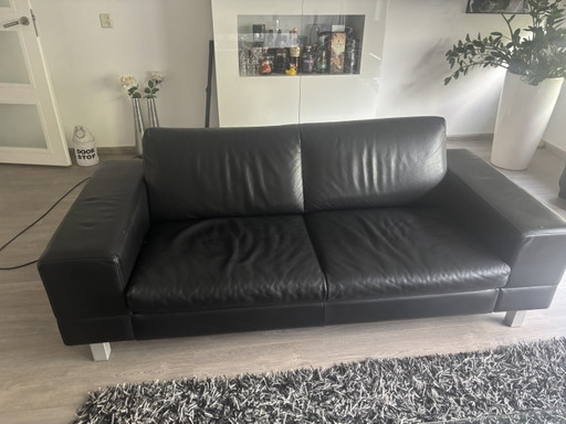 Leder 2,5-Sitzer Sofa + Molinari Sessel