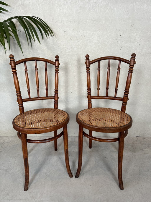 2X Silla Fischel