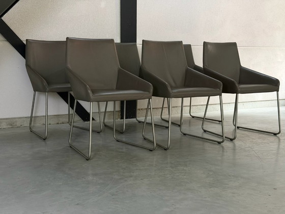 Set Design On Stock Vico - come nuovo – Sedie da pranzo, polished steel, Pelle (photo 2 of 12)