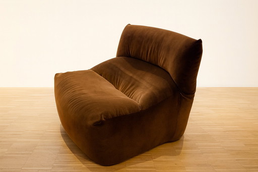 Sillón Ligne roset aralia 1970