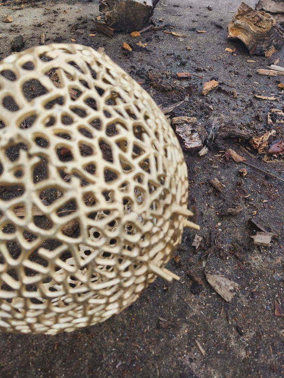 Image 1 of Coupe à fruits branche dorée