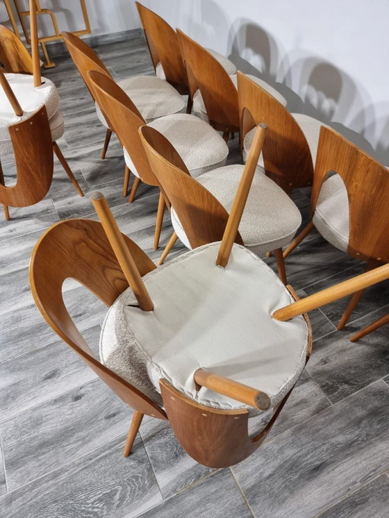 Image 1 of Dining Chairs from Antonin Suman, set of 12