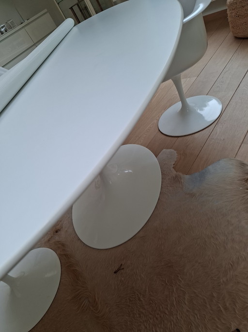 Knoll Saarinen Eclips 198x 121