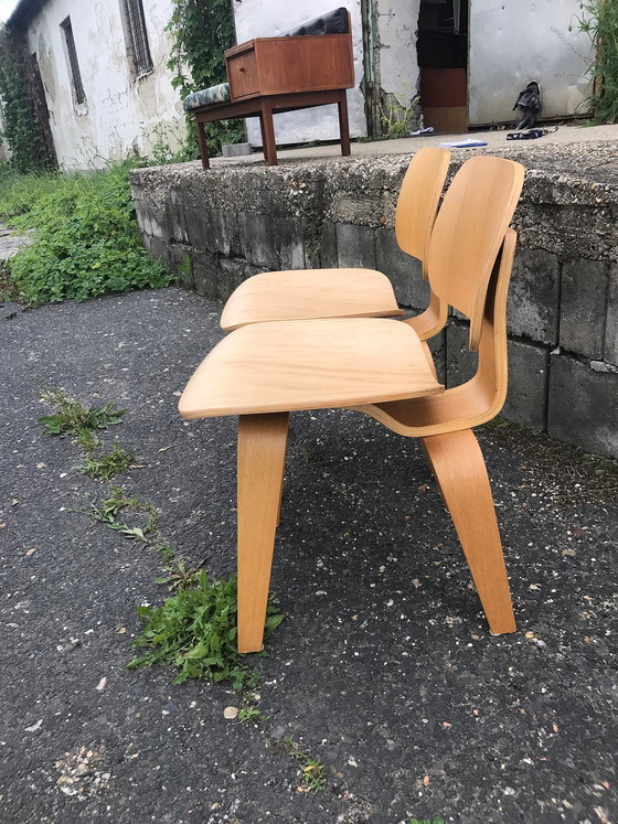 Set of Restored Molded Plywood Chairs – Dining chairs (photo 2 of 6)
