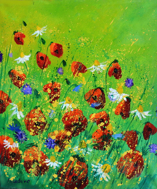 Coquelicots rouges