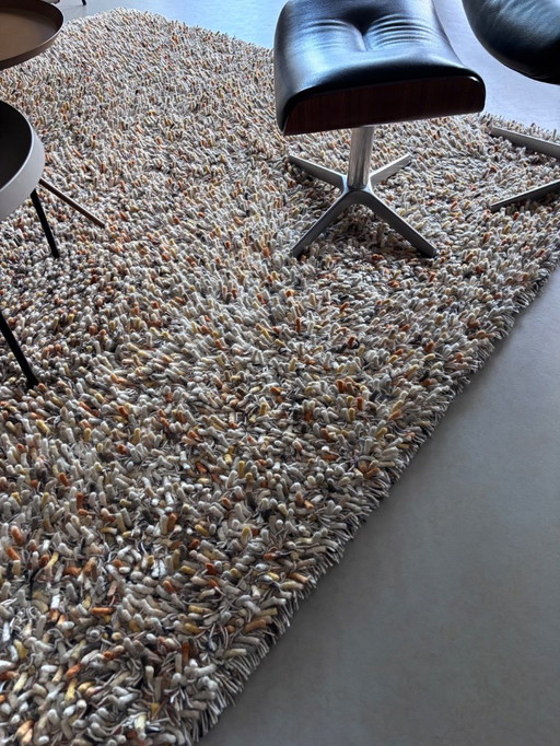 Brink and Campman Spring Calendula 059103