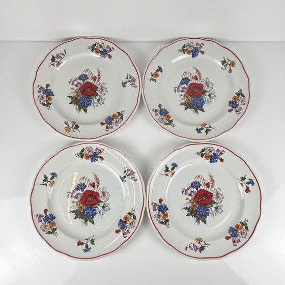 Set of 4 "Agreste" Dinner Plates, Sarreguemines, Late 20th Century, Pyroblan – Crockery, Porcelain (photo 6 of 8)