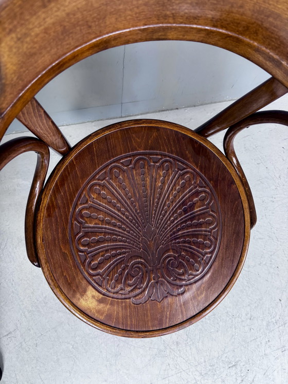 Image 1 of Chaise Thonet Cosmos