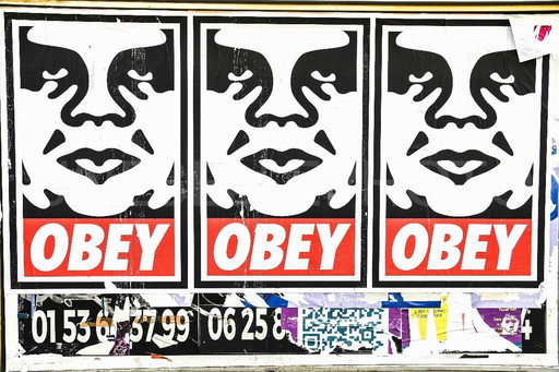 Photo imprimée sur plexiglas ou aluminium / Edition limitée / Street art / Decoration originale / pop art / Graffiti