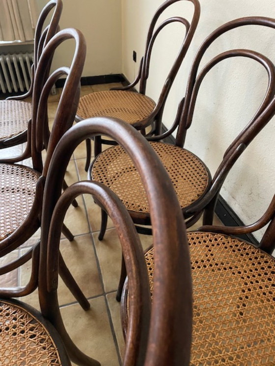 Image 1 of Sedie d'epoca in legno curvato e canna di Michael Thonet, 1904 n°14