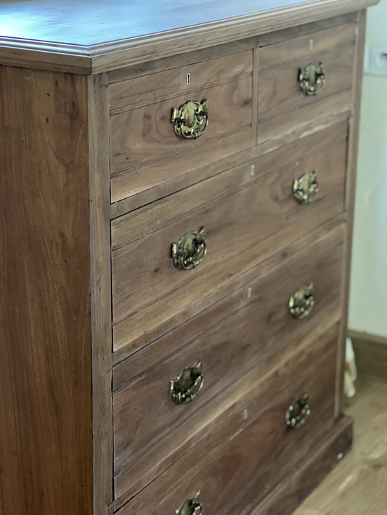 Image 1 of Cassettiera inglese in legno massello