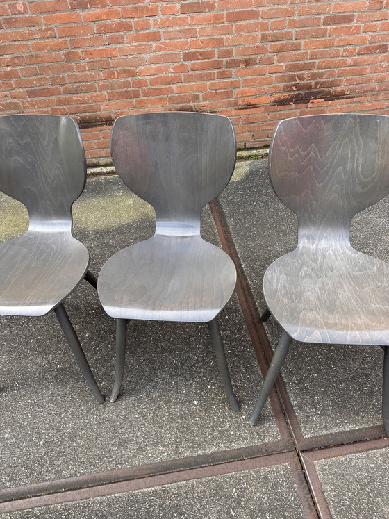 Image 1 of 5x Linteloo Tulipani design eetkamerstoelen 