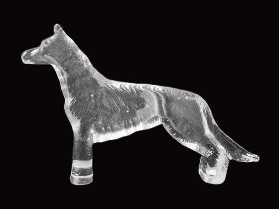 Kosta Boda - Large Dog From Bertil Vallien - 60s – Glass art, Glass (photo 5 of 5)