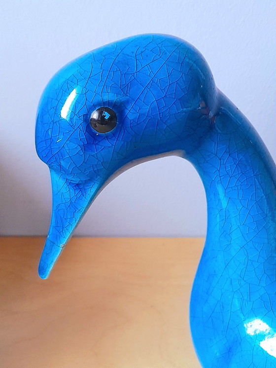 Image 1 of Zoomorfe bloemkikker, G. Cassin 1960