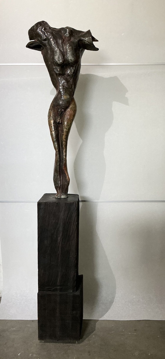 Image 1 of Homme torse