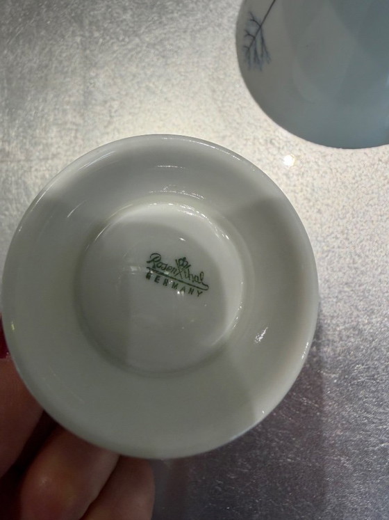 Rosenthal Raymond Peynet – raro servicio de café de 15 piezas para 6 personas – Mid Century 1950s/60s – Loza (photo 20 of 21)