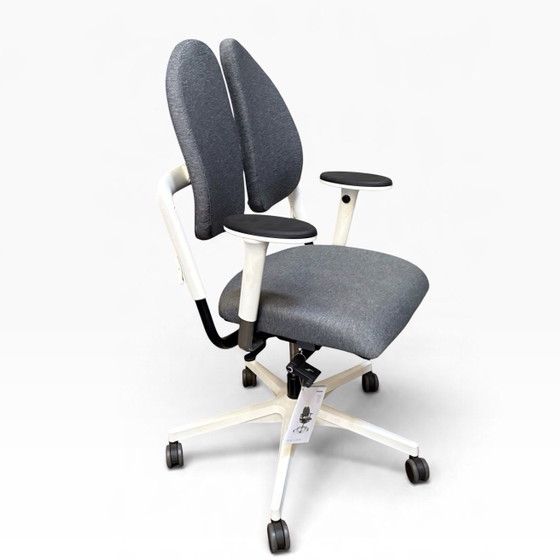 Grahl Xenium Dou back – Chaises de bureau, Métal, Plastique (photo 8 of 8)