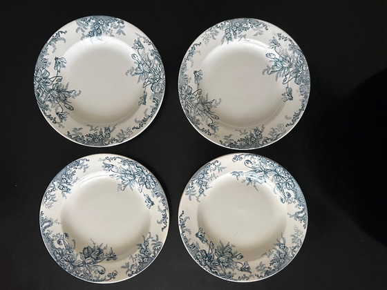 Image 1 of 13 Louis Graves Terre de Fer Cyclamen Soup Plates