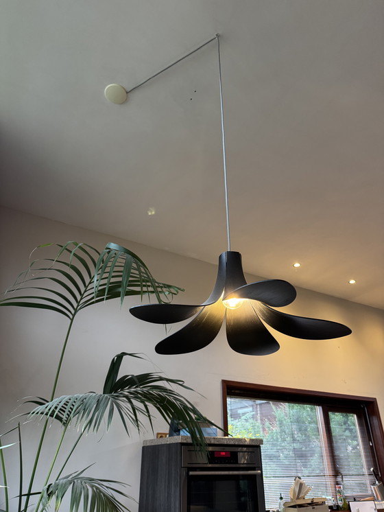 Image 1 of Umage Jazz plafondlamp Zwart eiken