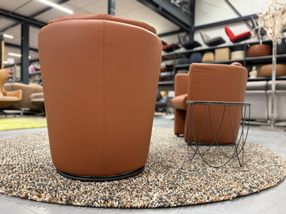 Image 1 of 2 Leolux Suva Fauteuils Wapiti Hawk leer 